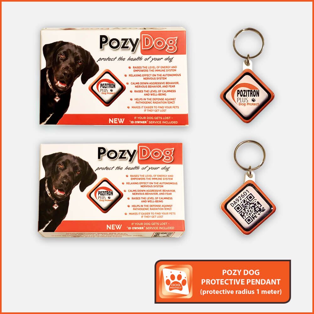 Pozy Dog Pendant - Image 6
