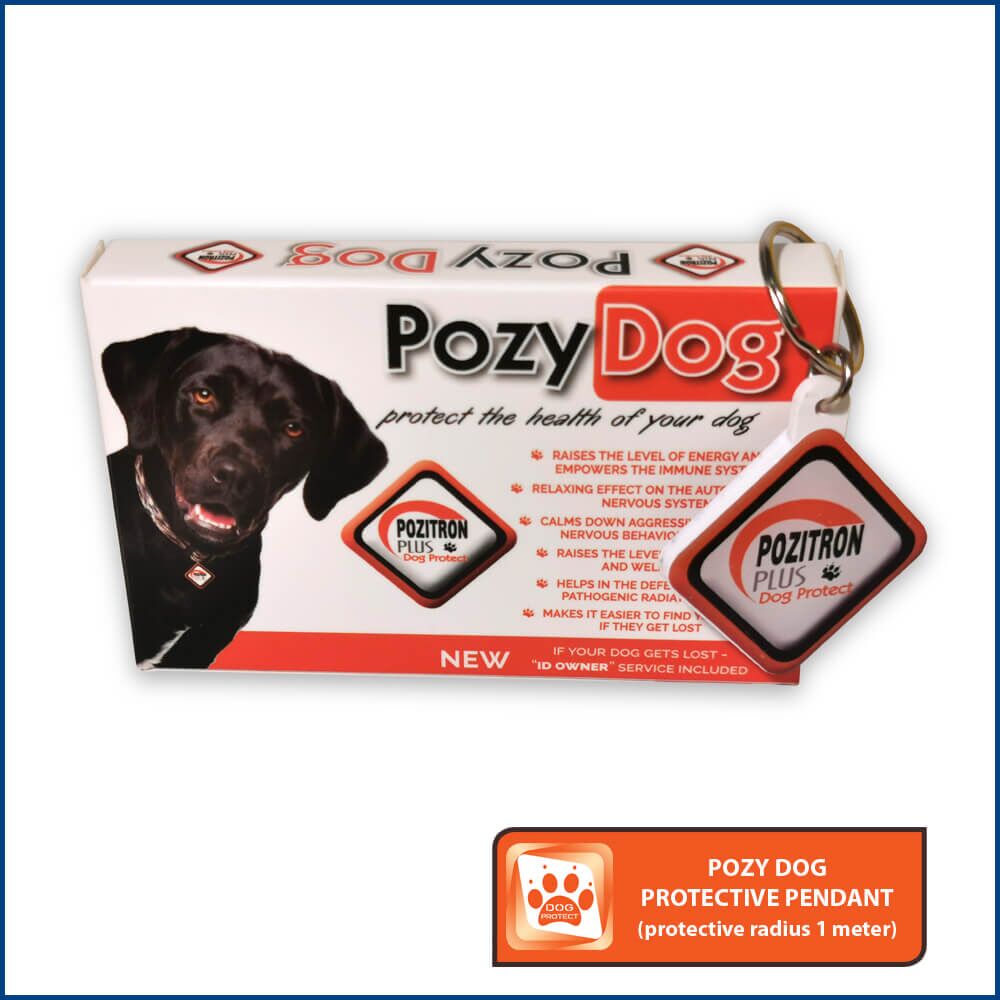 Pozy Dog Pendant