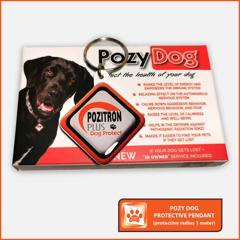 Pozy Dog Pendant - Image 3
